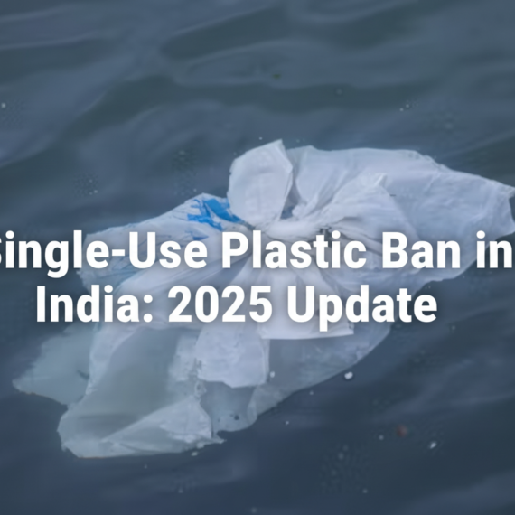 India bans single-use plastic in 2025: Key rules
