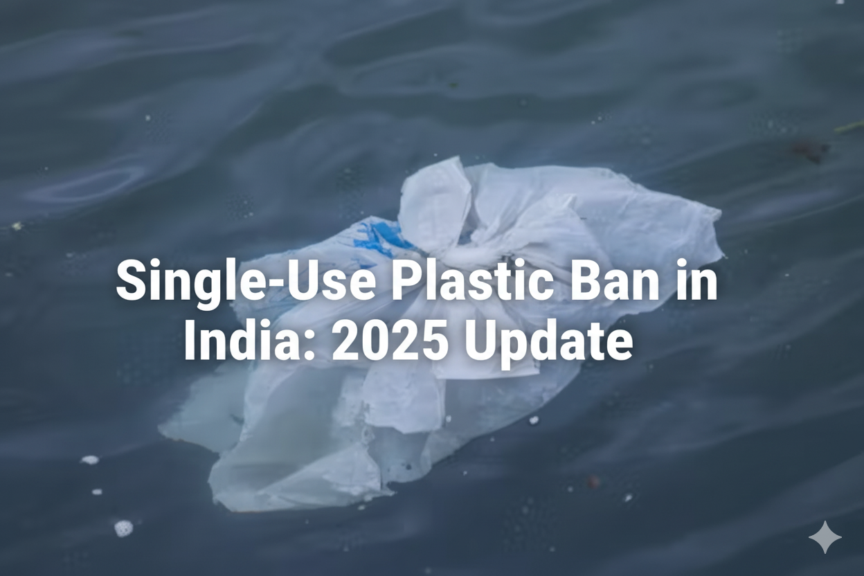 India bans single-use plastic in 2025: Key rules
