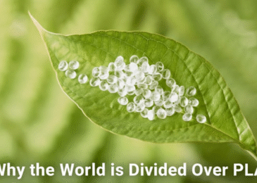 Why the World is Divided Over PLA