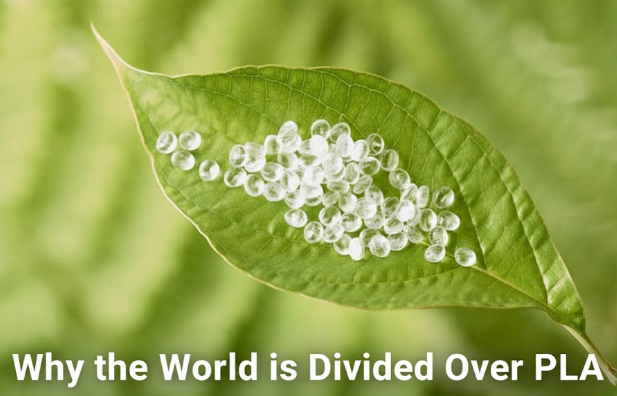 Why the World is Divided Over PLA