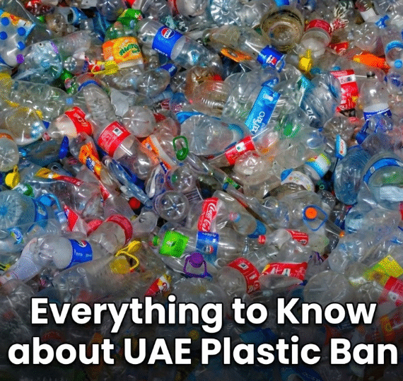Everything to Know about UAE Plastic Ban