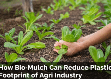 How Bio-Mulch can reduce Plastic Footprint of Agri Industry