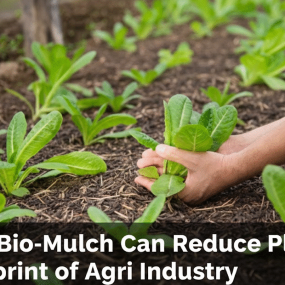 How Bio-Mulch can reduce Plastic Footprint of Agri Industry