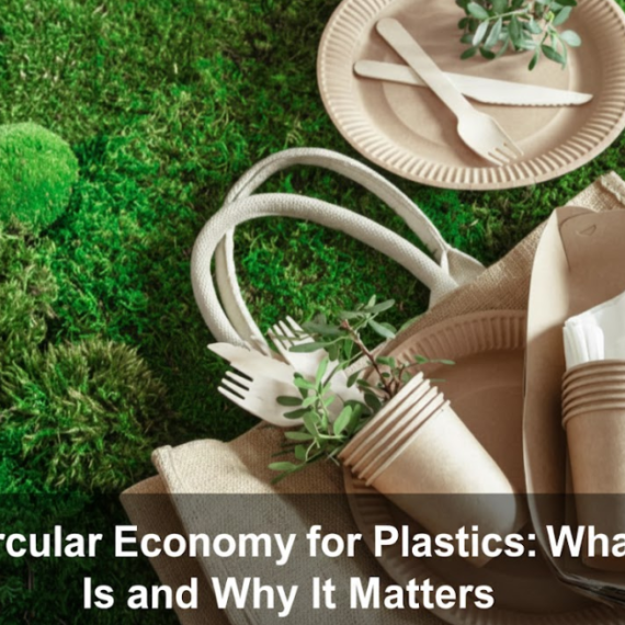 Circular Economy for Plastics: What It Is and Why It Matters