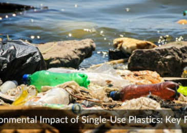 Environmental Impact of Single-Use Plastics: Key Facts for 2026