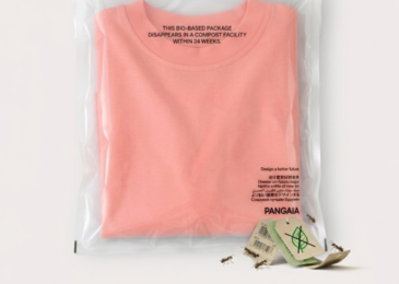 How to Calculate the Real Cost of Switching to Compostable Packaging