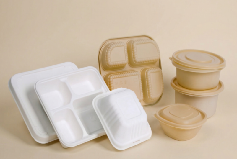 Bioplastic-Packaging-in-India-Best-Examples-and-Latest-Trends.