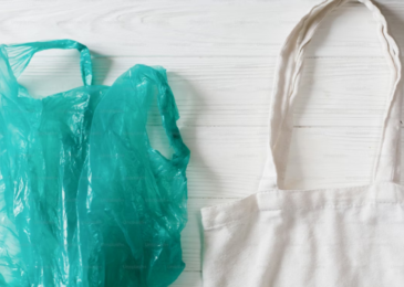 PBAT-Based-Compostable-Bags-vs-LDPE-Cost-and-Performance-Comparison