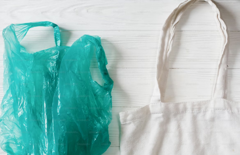 PBAT-Based-Compostable-Bags-vs-LDPE-Cost-and-Performance-Comparison