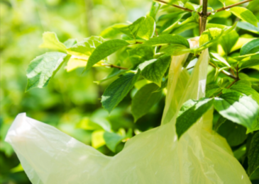 PLA-vs-PBAT-For-Compostable-Bags-A-Comparison