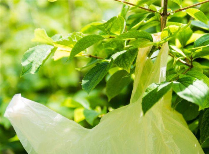 PLA-vs-PBAT-For-Compostable-Bags-A-Comparison
