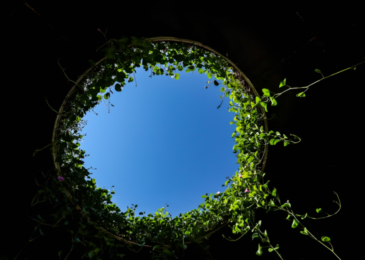Circular-Materials-Manufacturing