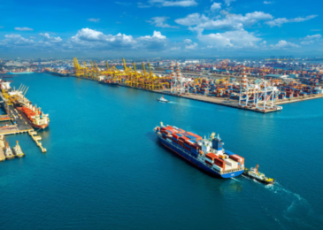 EN-13432-Explained-for-Exporters-EU-Compostable-Packaging-Standard