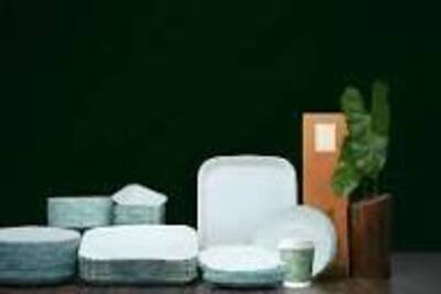 Anna Polymers_4