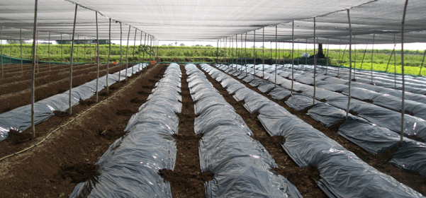Brijwasi Plastic Private Limited_4