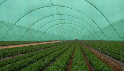 Sakar Plastic Industries_1