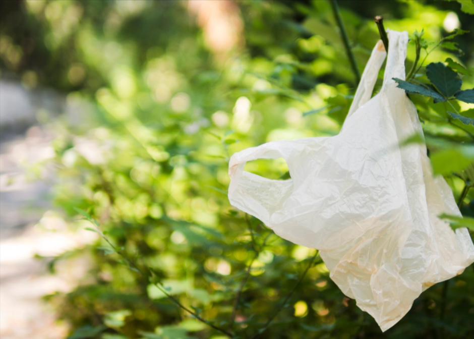 Compostable-bags-price-in-India-what-to-expect-per-kg-in-2026