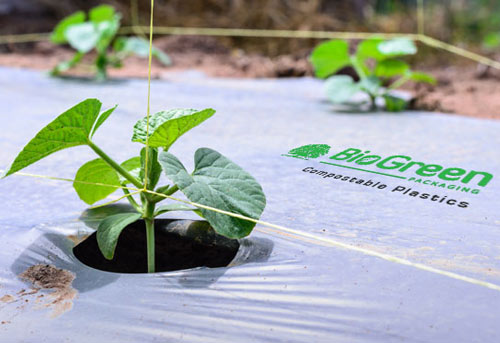 Biogreen Packaging Private Limited_3