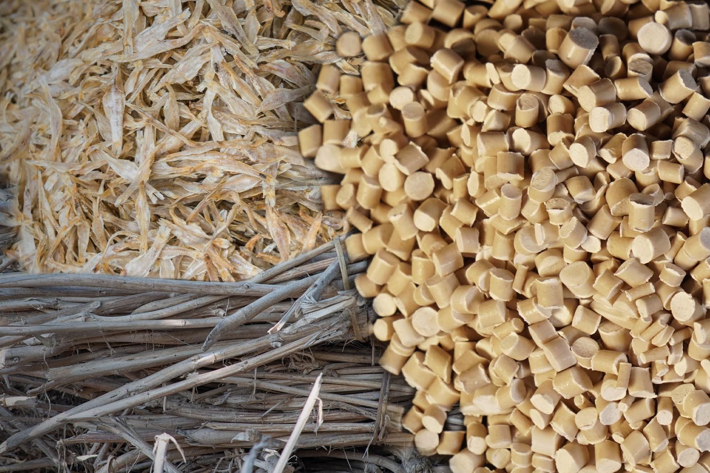 Ukhi hero banner 02 (1)